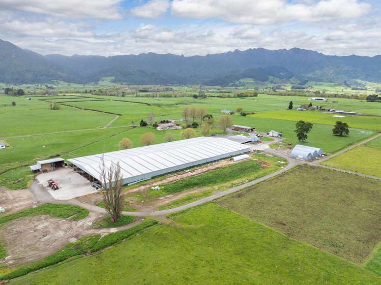 McKinley Road Te Aroha_18