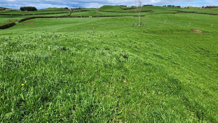 953 Upland Road Egmont Village_31