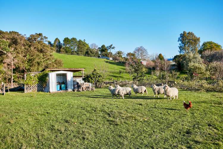 55 Ayton Street Mangapapa_9