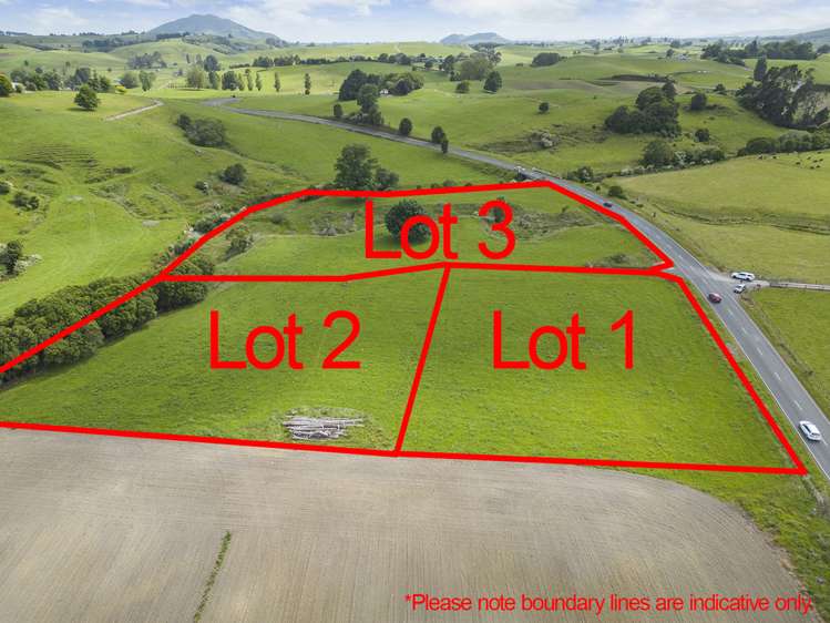 Lot 2/333 Ouruwhero Road Otorohanga_3