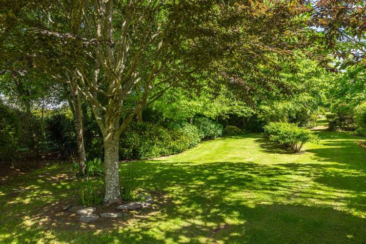 89 Lea Grove Levin_24