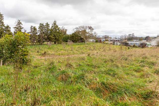 Milly Street Ormondville_3