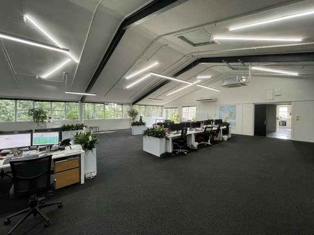 330 Dominion Road Mount Eden_1