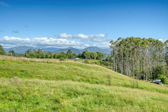 Lot 2 Lake Kaniere Road Hokitika_2