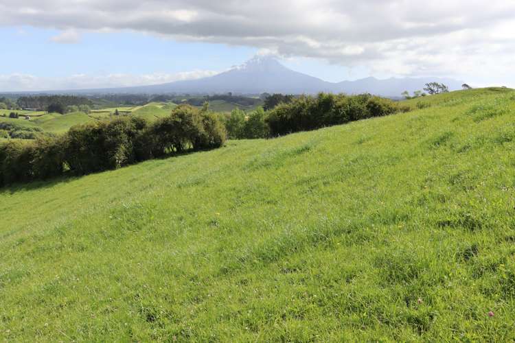 346 Lincoln Road Inglewood_10