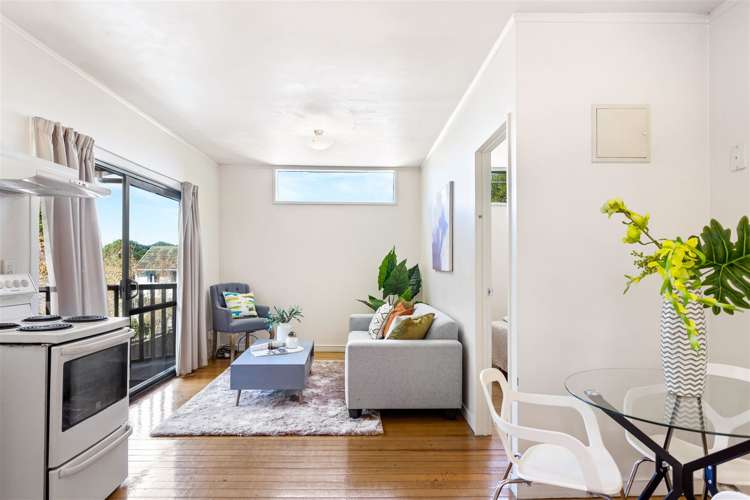 16a Shirley Road Grey Lynn_12