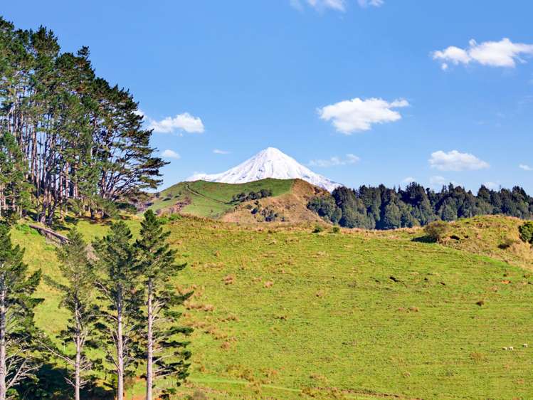 822 Motukawa Rd Inglewood_13