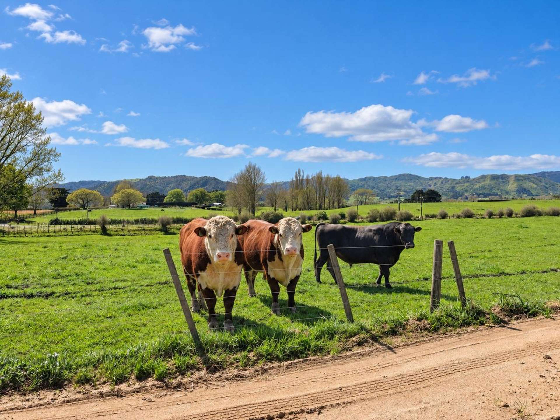 5661 State Highway 26 Te Aroha_0