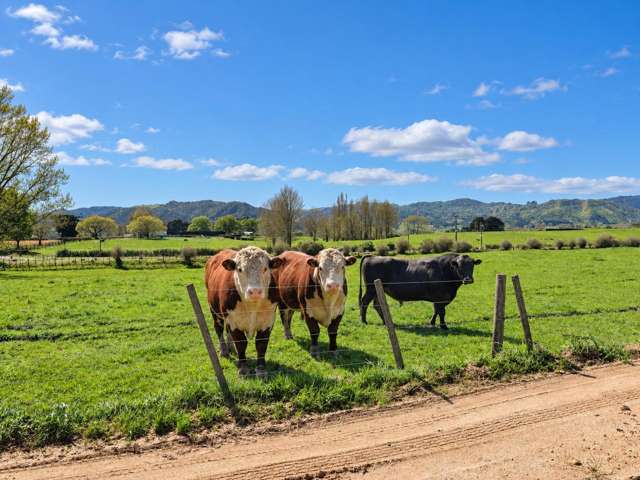 49 ha grazing support