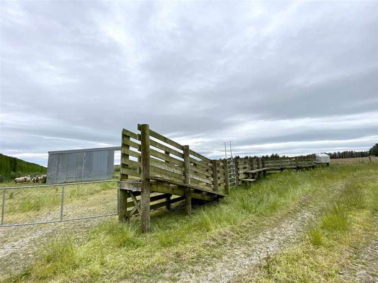 170 Trotter Road Woodlands_24