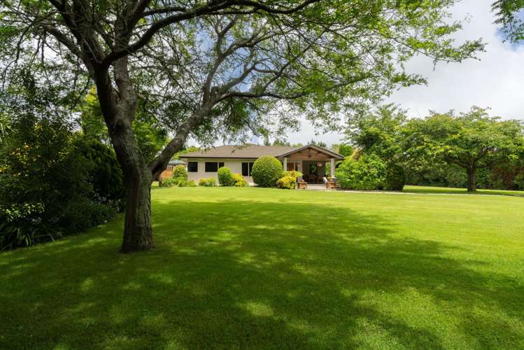 64 Lea Grove Levin_47