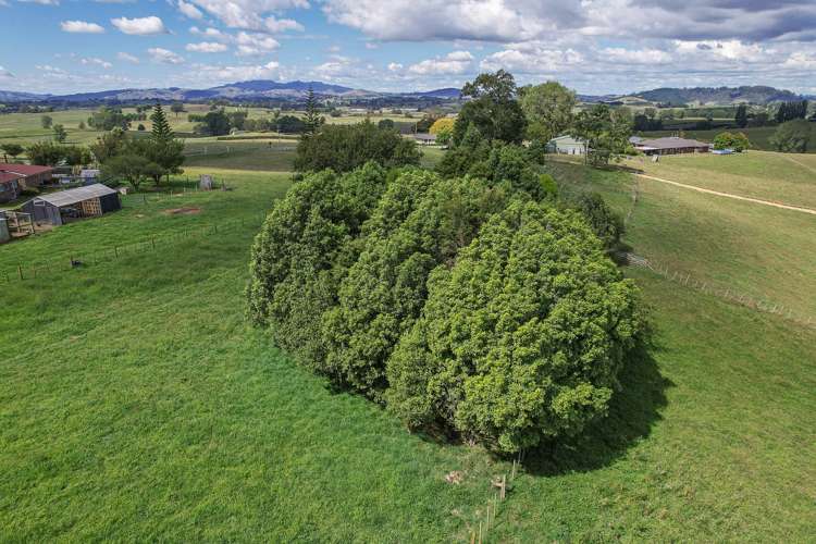 24 Wharepuhunga Road Otorohanga_45