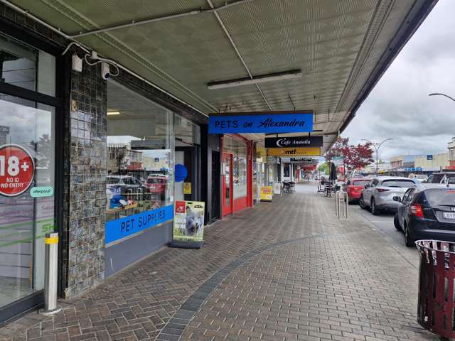 51 Alexandra Street Te Awamutu_3