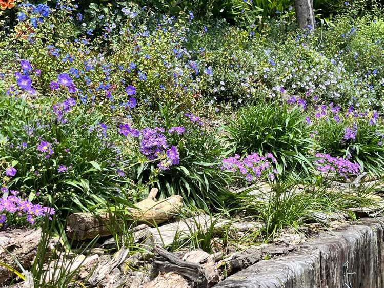 100 Margaret Reeve Lane Waiheke Island_26