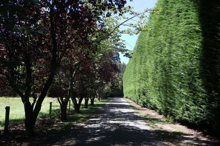 194 Methven Highway Allenton_24