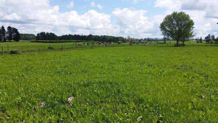 336 Te Aroha-Gordon Road Hauraki Surrounds_10