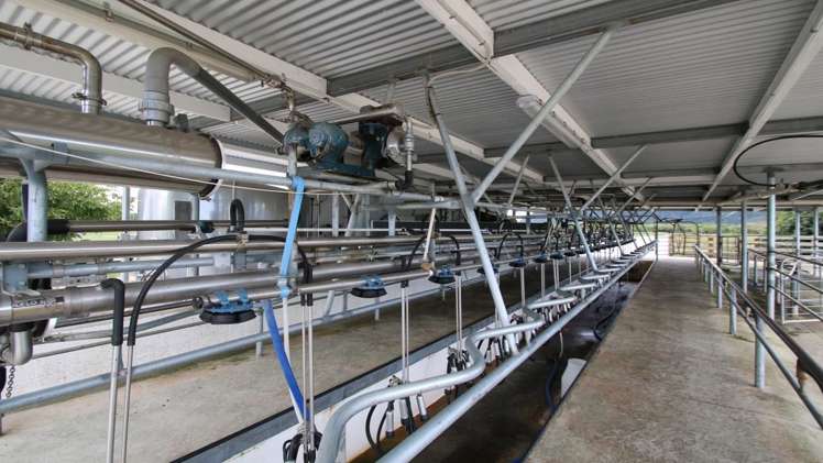 79 Otakiri Soldiers Road Otakiri_9