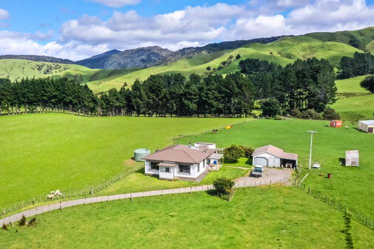 1091 Kopikopiko Road Eketahuna_17