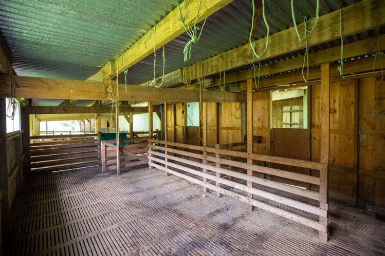 614 Gowan Valley Road Kahurangi National Park_24