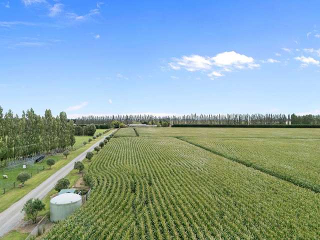 349 Wakanui Road Ashburton_3