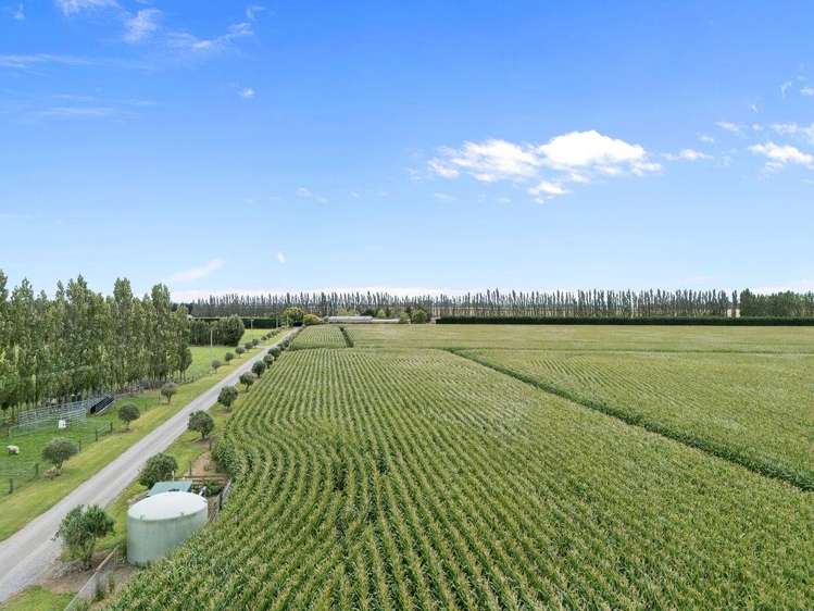 349 Wakanui Road Ashburton_3