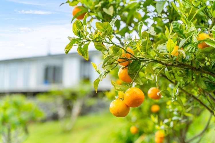 1612B Pakiri Road Pakiri_20