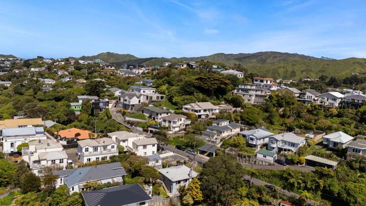 21 Mana Street Vogeltown_14