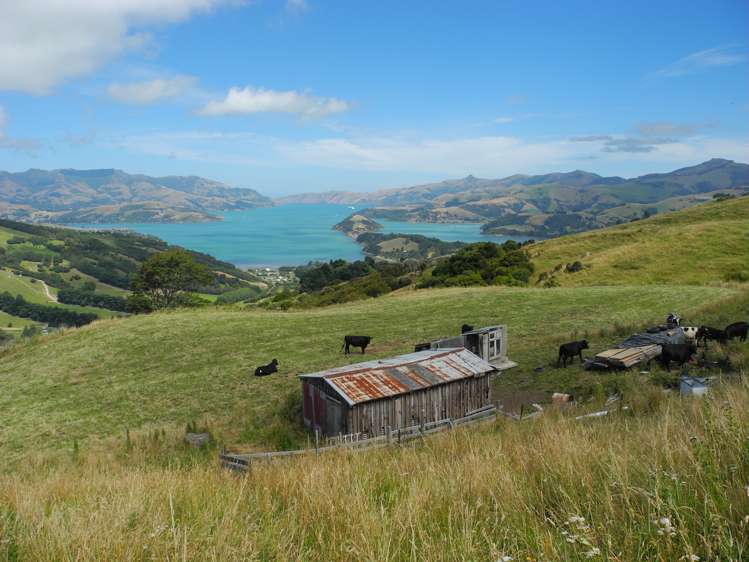 328 Pigeon Bay Road Pigeon Bay_5