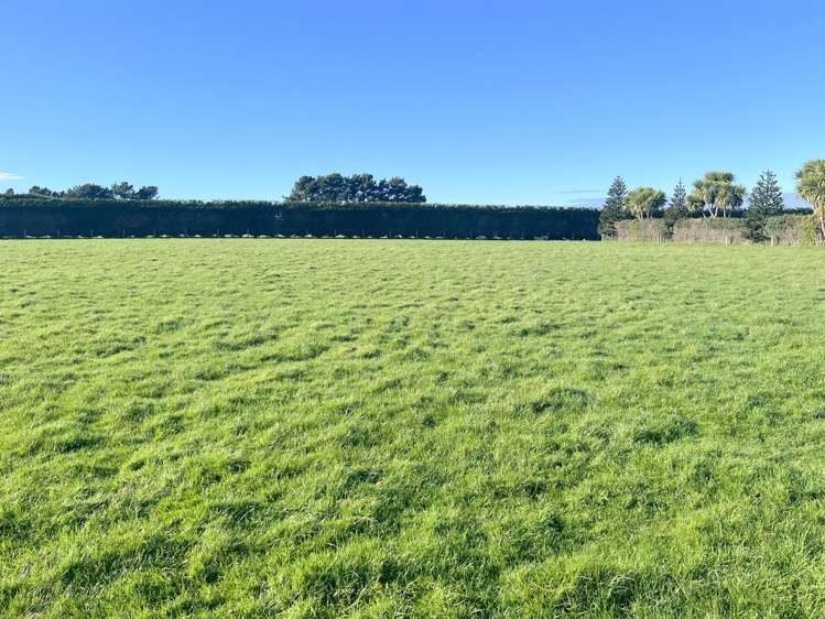 432a Lorne Dacre Road Roslyn Bush_31