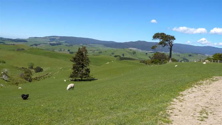 309 Hagen Road Orawia_11