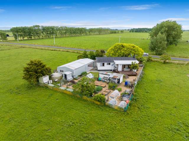 Rural Living on the Firth of Thames!