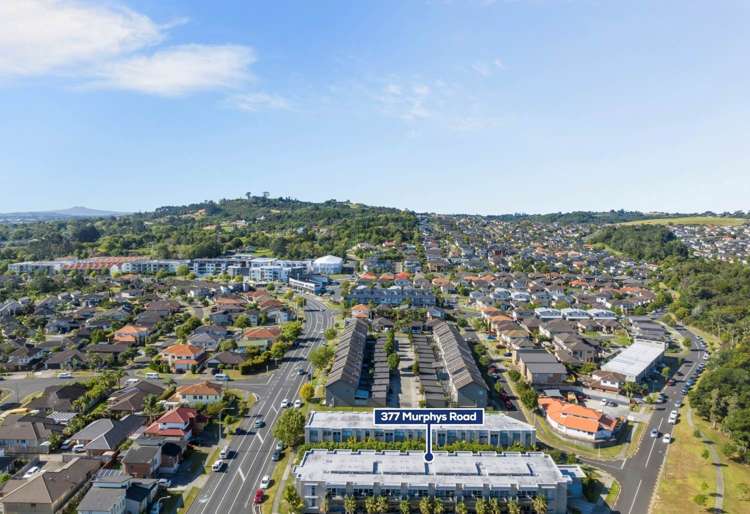 377 Murphys Road Flat Bush_6