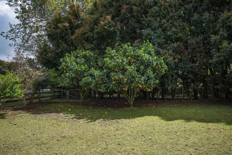 68 Kara Road Maungatapere_27