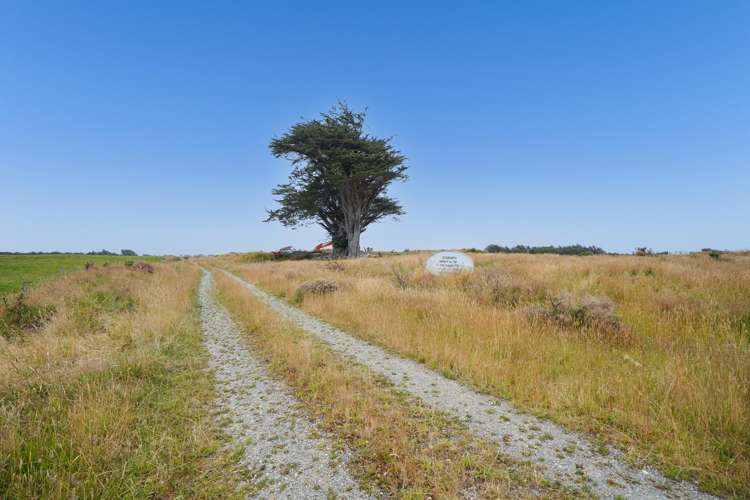 103 & 121 Coggins Road New River Ferry_10