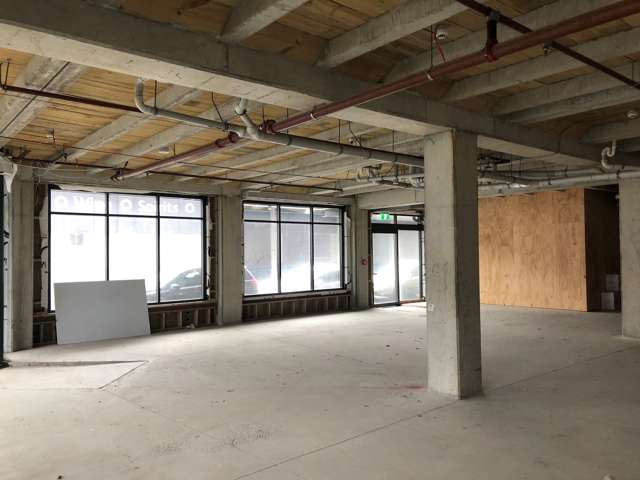 73 Jackson Street Petone_2