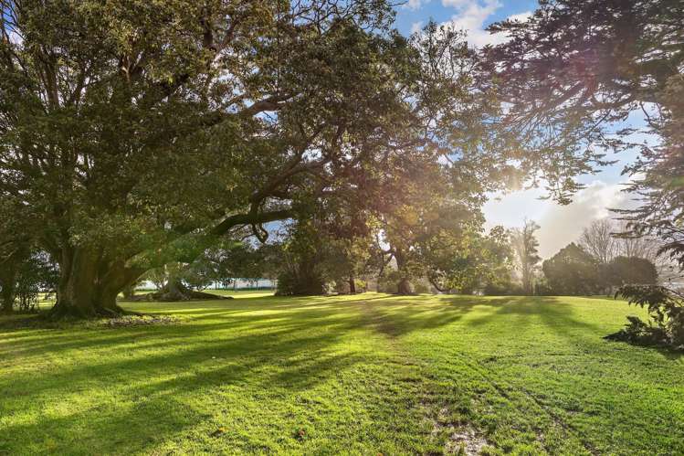 G01/28 Killarney Street Takapuna_25