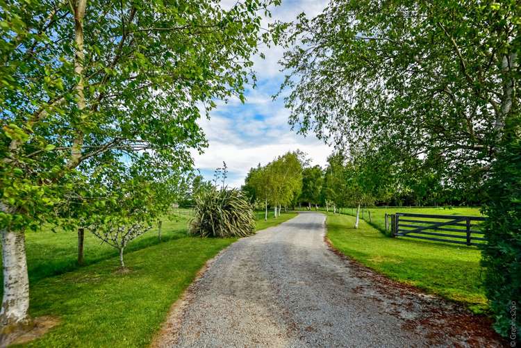 81 Wolfes Road Springston_23