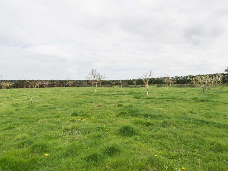 424 North Eyre Road Swannanoa_18