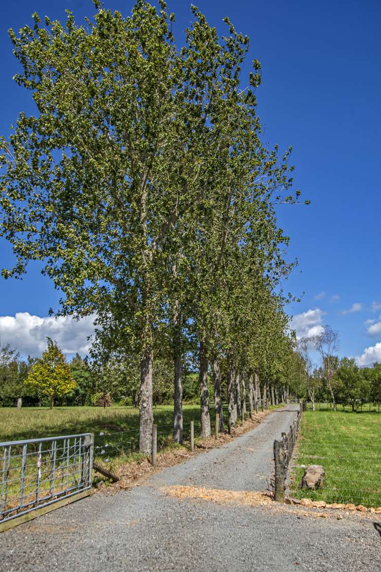 283 Pataua North Road Whareora_44