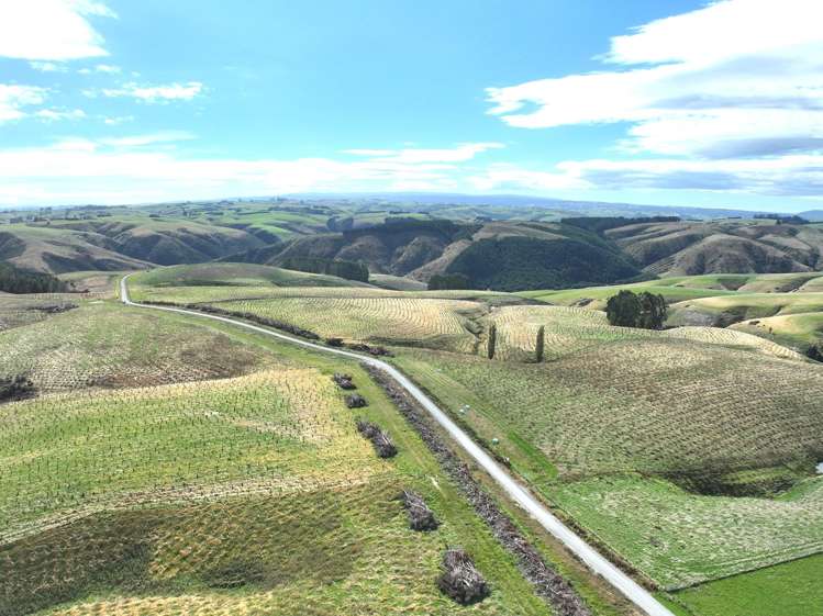 174 McCulloch Road Awamangu_30