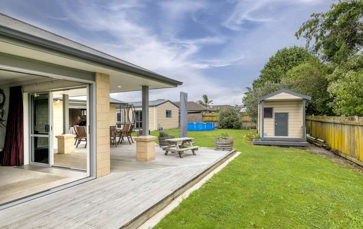 3 Toutouwai Terrace Levin_11