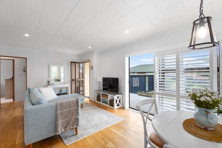 21b Nukumea Common Orewa_5