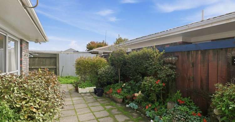 28B Grey Street 1070_4