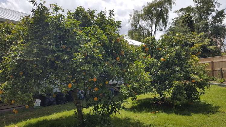 332 Te Rahu Road Te Awamutu_10