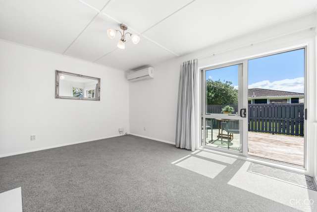 155 Oxford Terrace Epuni_3