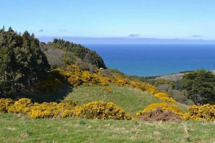 215 Green Island Bush Road Waldronville_9