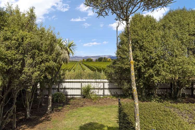 59 Anglesea Street Renwick_21