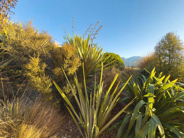 6A Kinross Lane Jacks Point_15