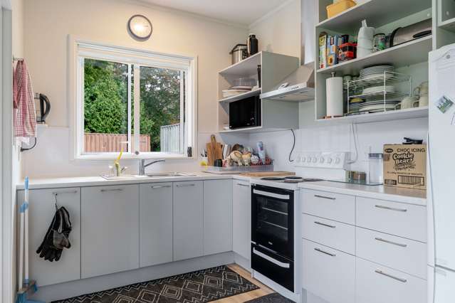 26 Mangamutu Road Pahiatua_4