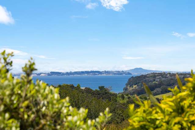 564 Mahurangi West Road Mahurangi West_4